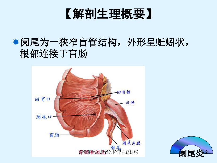 急性阑尾炎患者的护理主题讲座培训课件.ppt_第2页