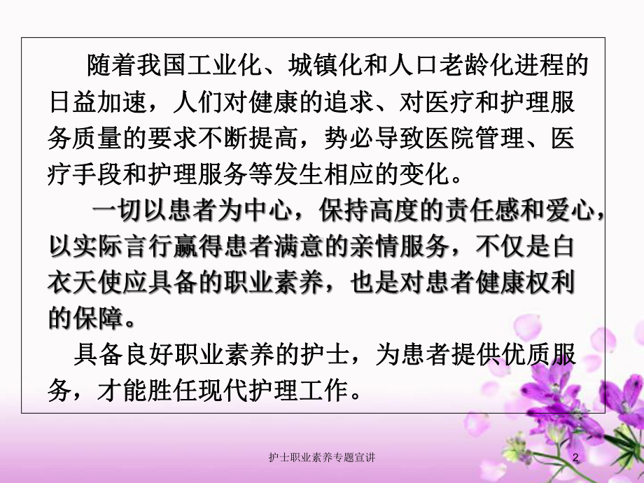 护士职业素养专题宣讲培训课件.ppt_第2页