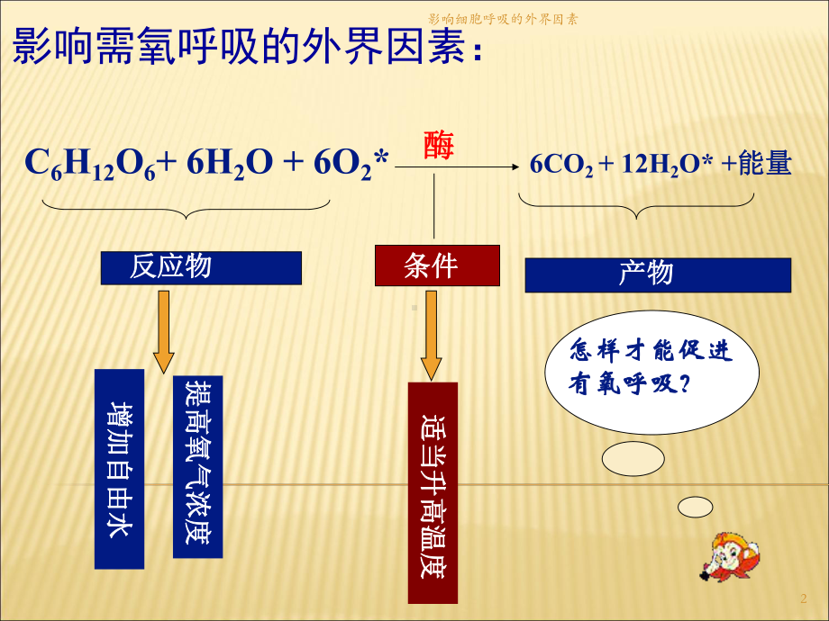 影响细胞呼吸的外界因素培训课件.ppt_第2页