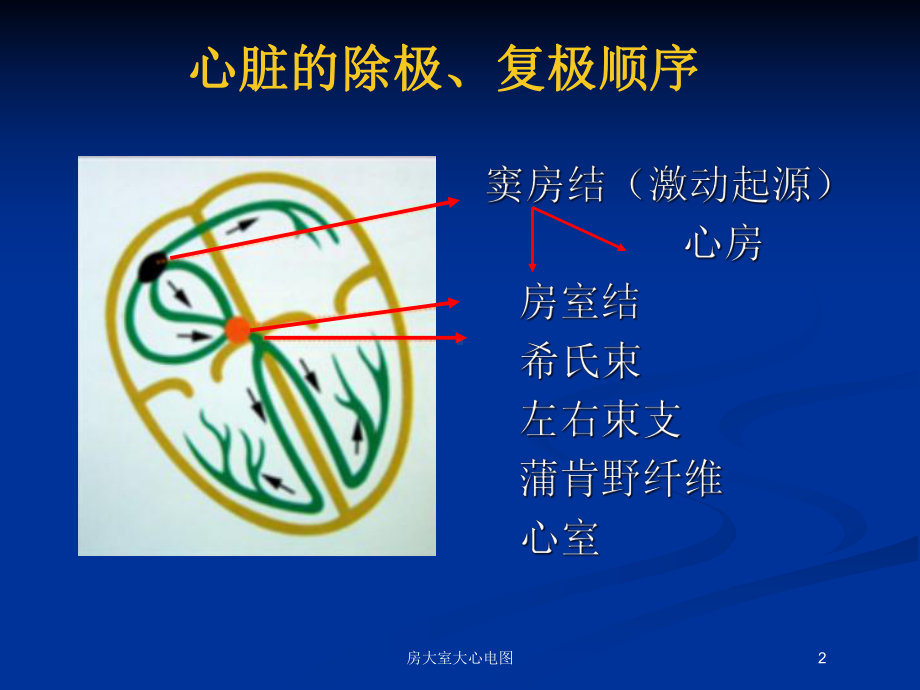 房大室大心电图培训课件.ppt_第2页