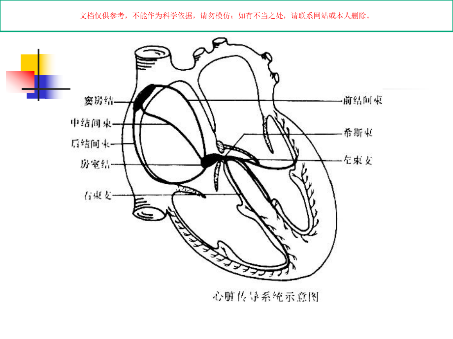 心律失常心内科培训课件.ppt_第2页