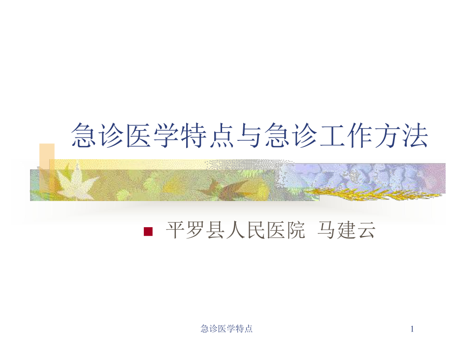 急诊医学特点课件.ppt_第1页