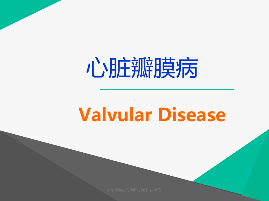 心脏瓣膜病的诊断与治疗-课件.ppt_第1页