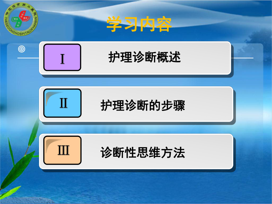 护理诊断与思维新课件.ppt_第2页