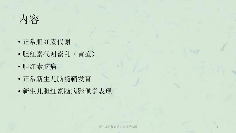 新生儿胆红素脑病影像学诊断课件.ppt_第2页