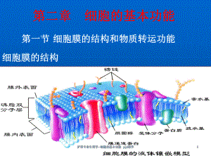 护理专业生理学细胞的基本功能-课件.ppt