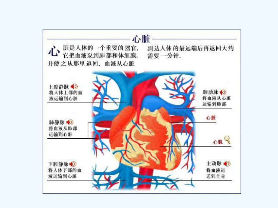 心力衰竭课件内科学第八版.ppt_第2页