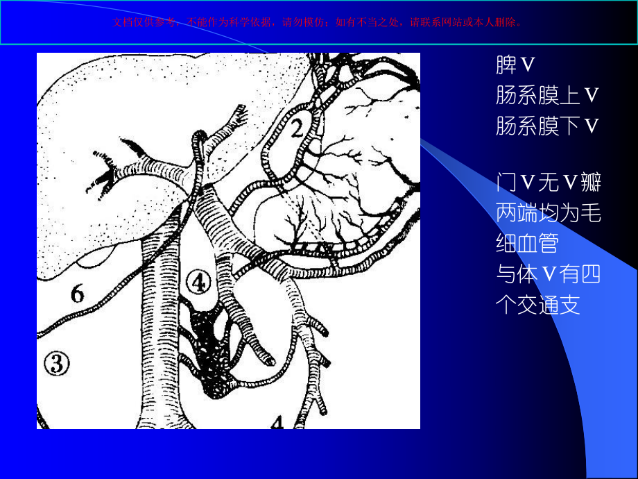 探讨门脉高压症病人的护理培训课件.ppt_第3页