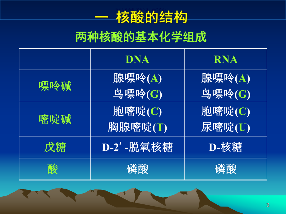 核酸化学医学宣教课件.ppt_第3页