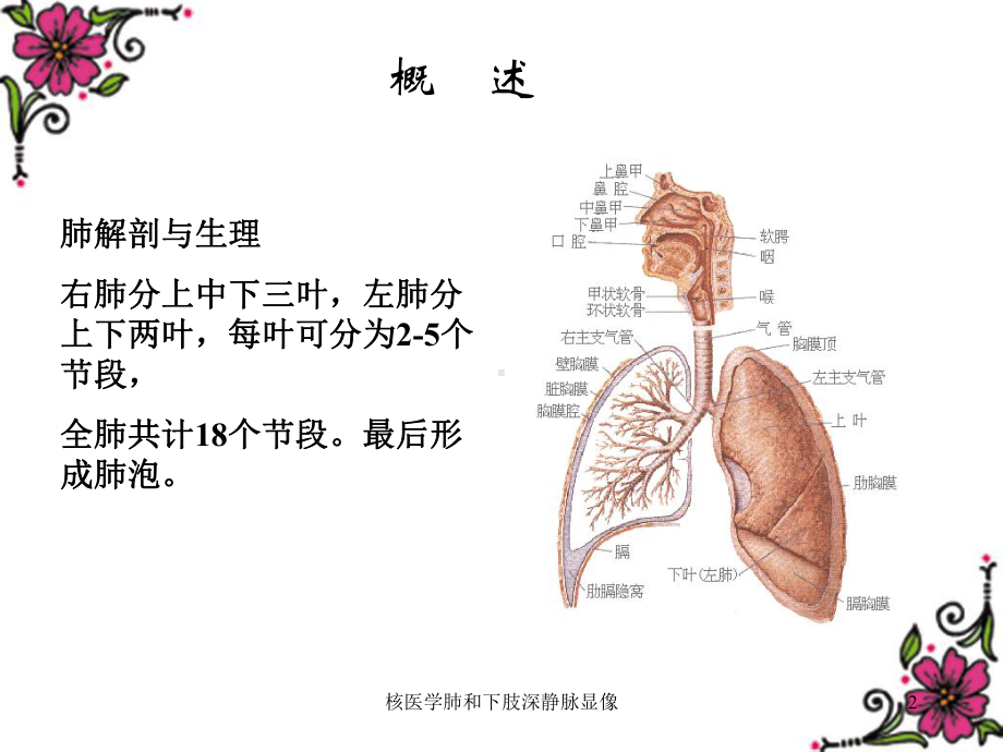 核医学肺和下肢深静脉显像培训课件.ppt_第2页