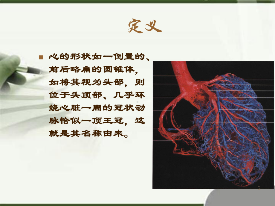 左冠状动脉解剖课件.pptx_第2页