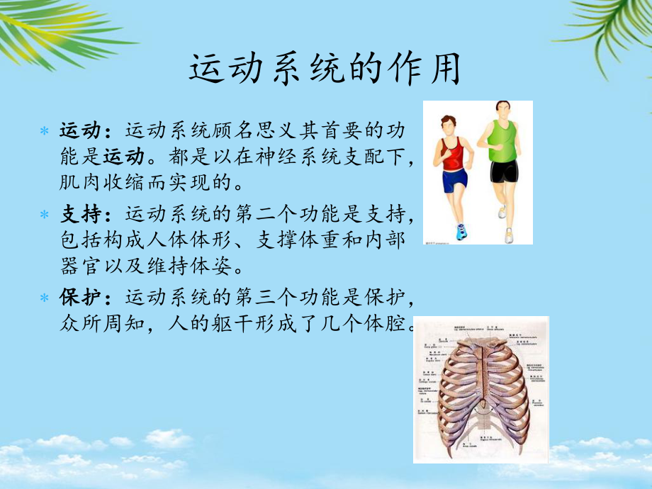 教培用运动系统肿瘤的预防和治疗课件.ppt_第2页