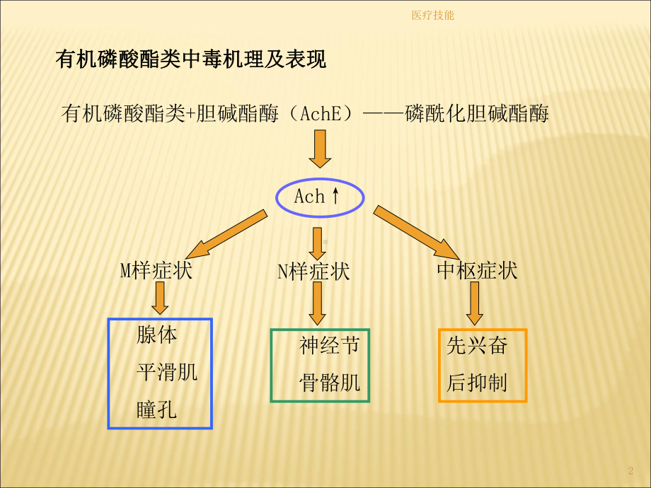 有机磷农药中毒及解救(医学技术)课件.ppt_第2页