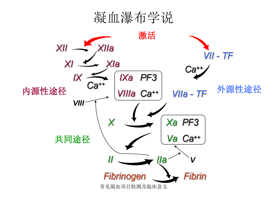 常见凝血项目检测及临床意义课件.ppt_第2页