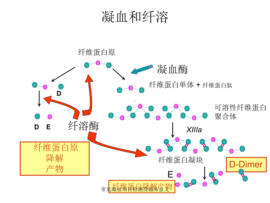 常见凝血项目检测及临床意义课件.ppt_第3页