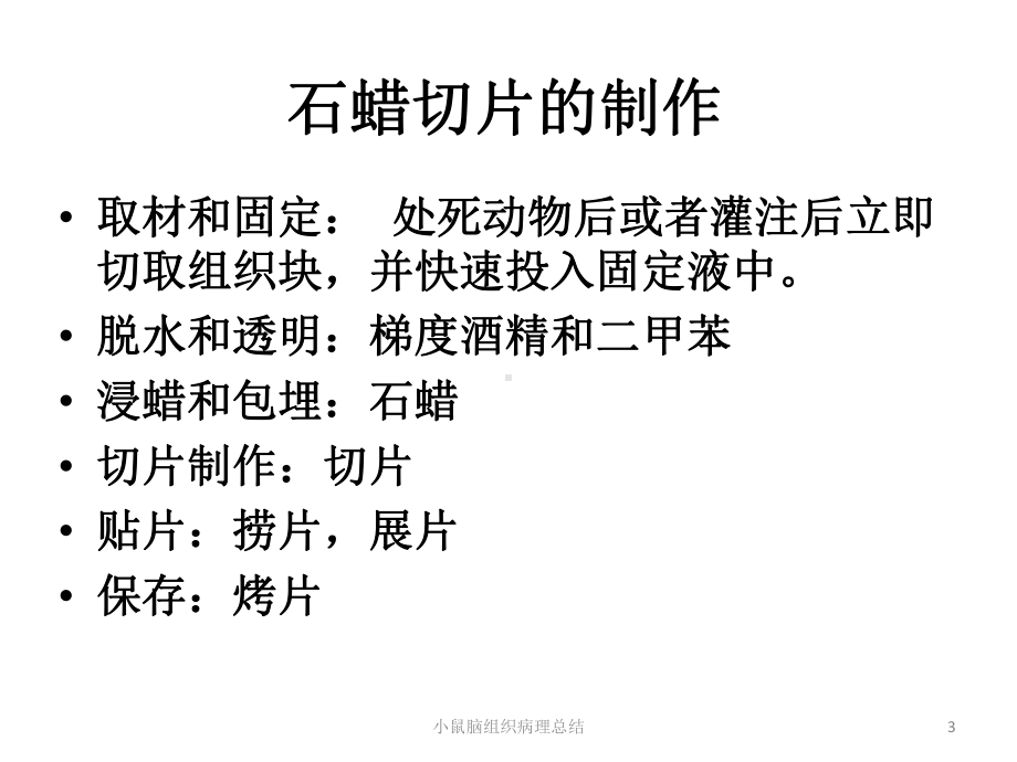 小鼠脑组织病理总结培训课件.ppt_第3页