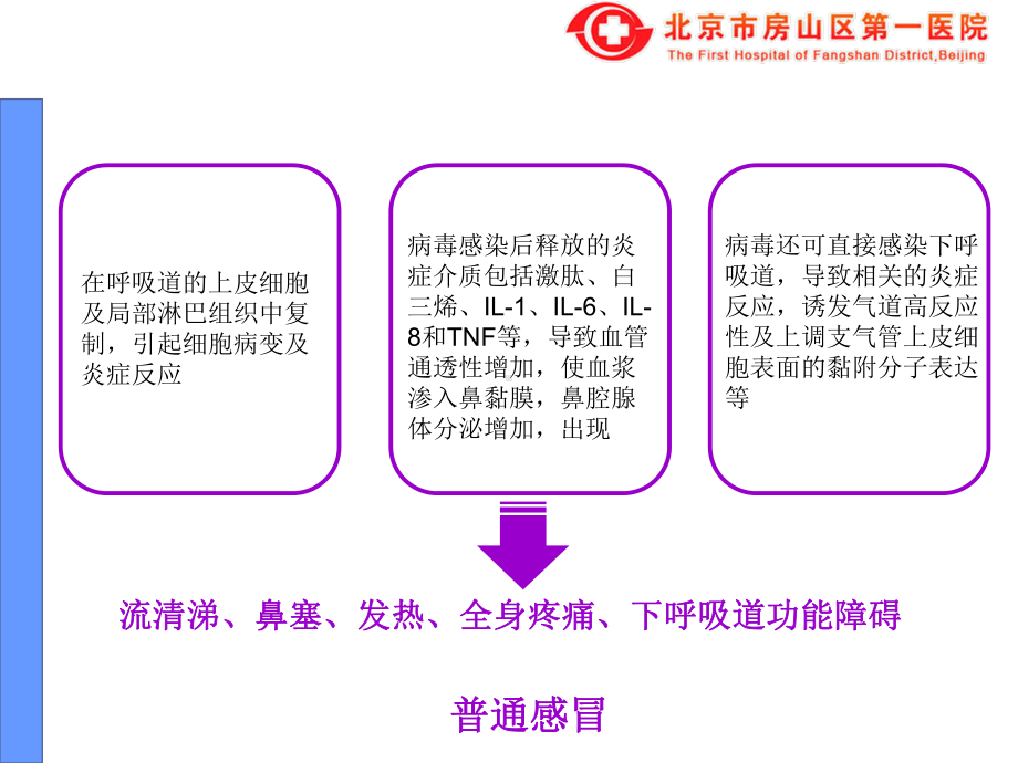 普通感冒良乡三幼课件.ppt_第2页