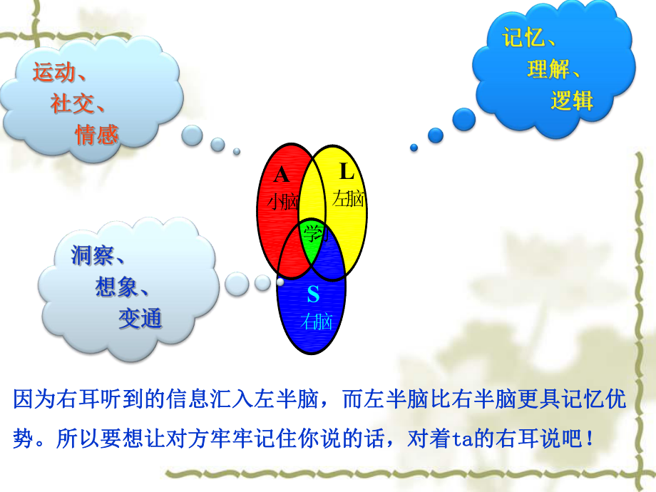 心理学基础第六讲课件.ppt_第3页