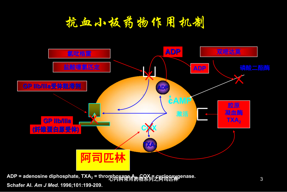 心内科常用药物系列之阿司匹林培训课件.ppt_第3页