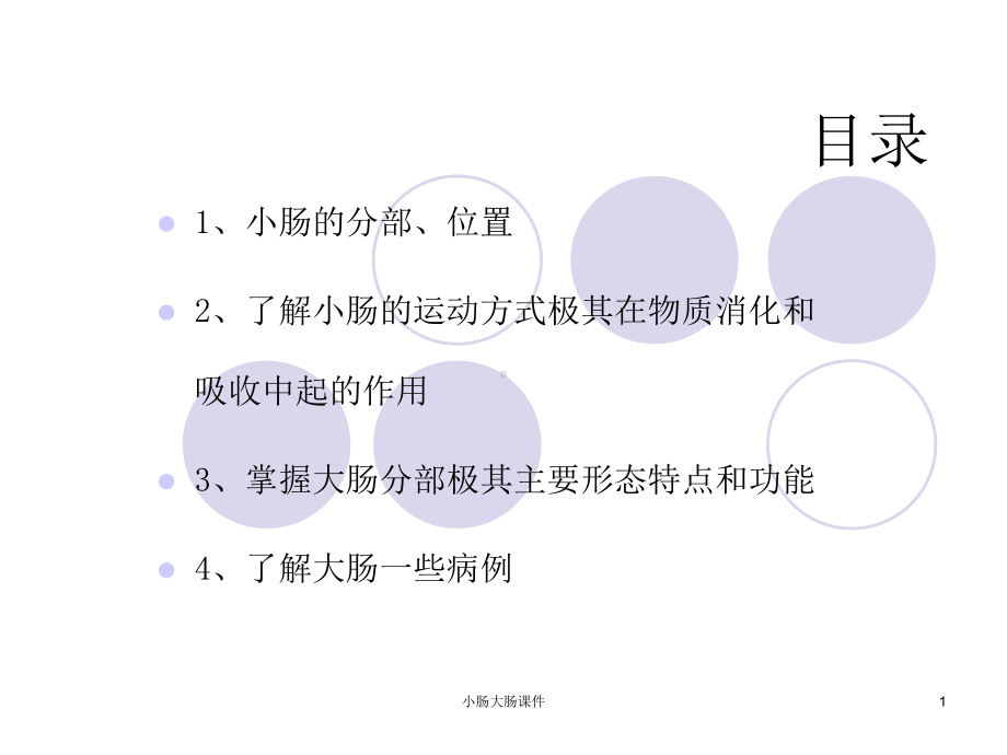 小肠大肠课件.ppt_第1页