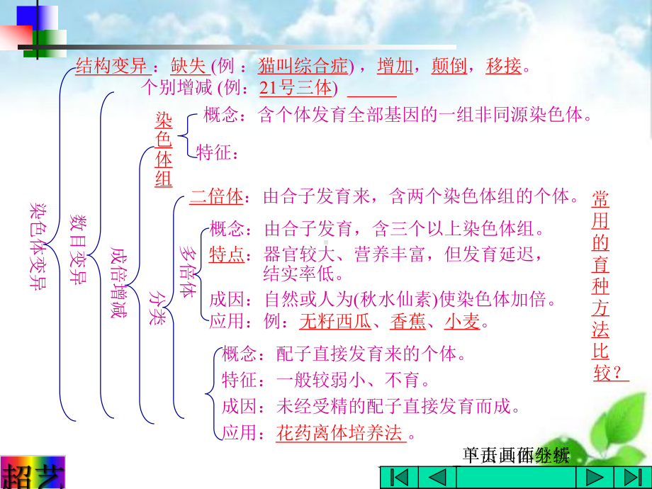 染色体变异课件4.ppt_第1页