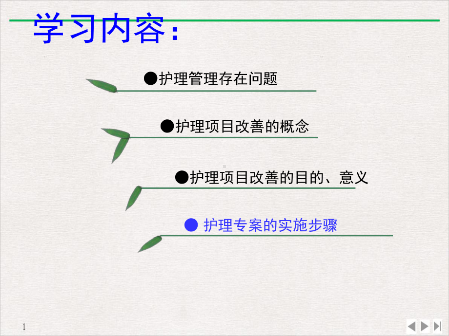 护理专项改善课件.ppt_第2页