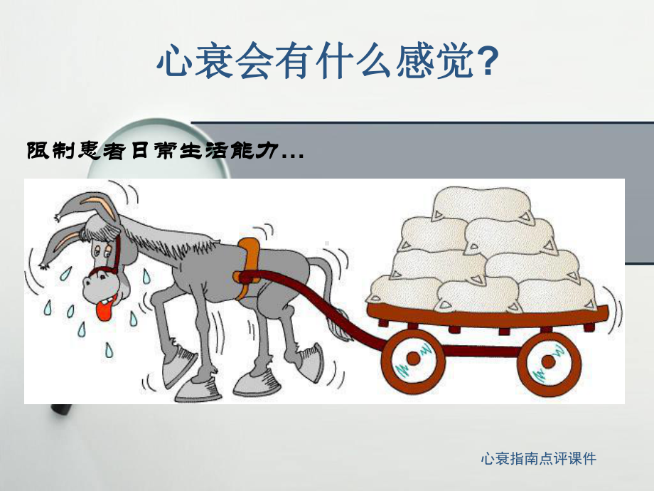 心衰指南点评课件.ppt_第2页