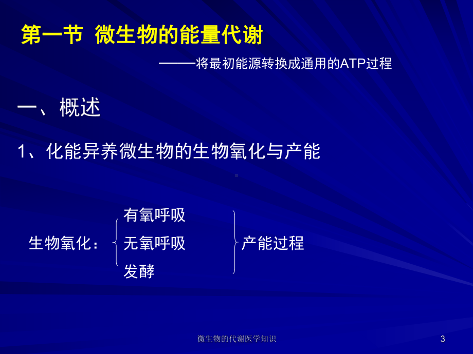 微生物的代谢医学知识培训课件.ppt_第3页