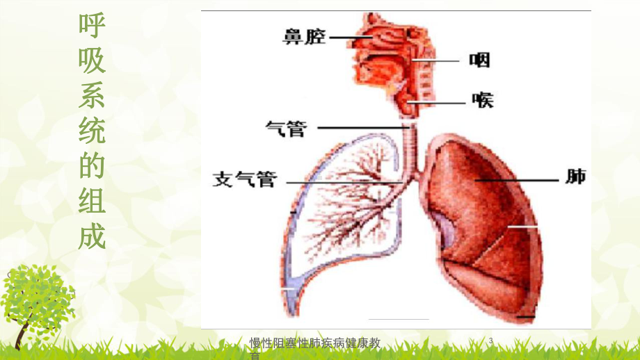 慢性阻塞性肺疾病健康教育培训课件.ppt_第3页