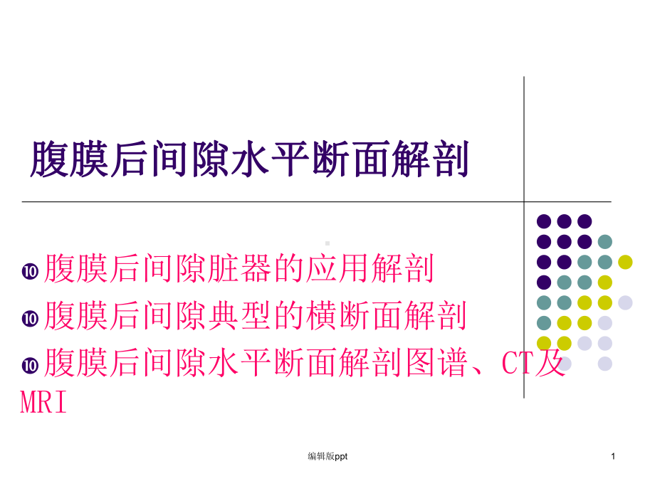 断面腹膜后隙课件.ppt_第1页