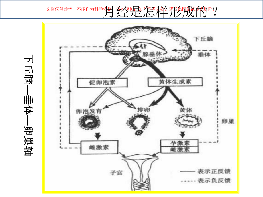 月经失调医学知识培训课件.ppt_第3页