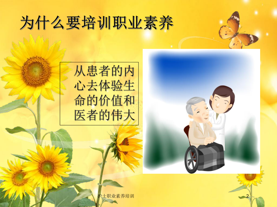 护士职业素养培训培训课件.ppt_第2页