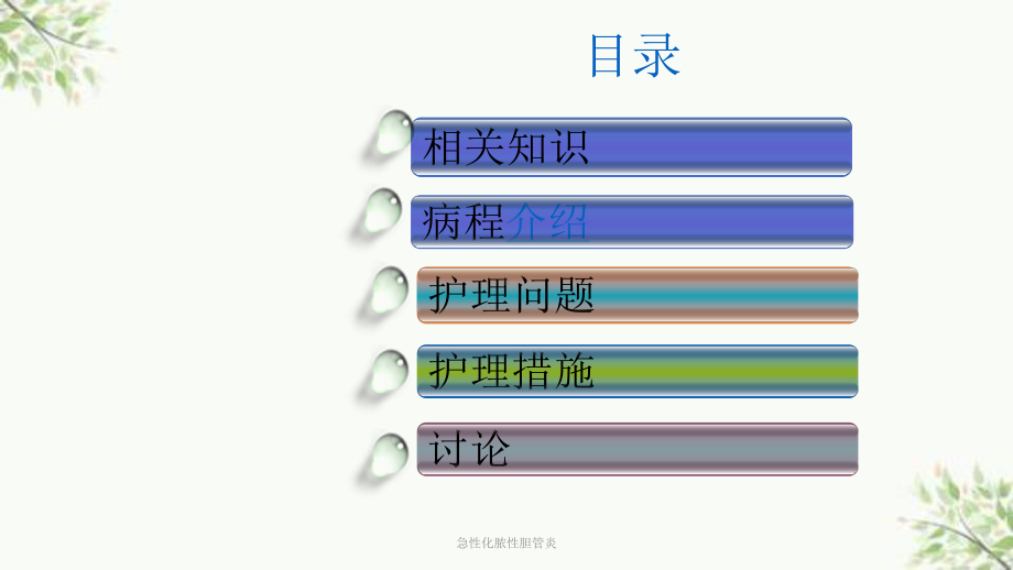 急性化脓性胆管炎课件.ppt_第2页