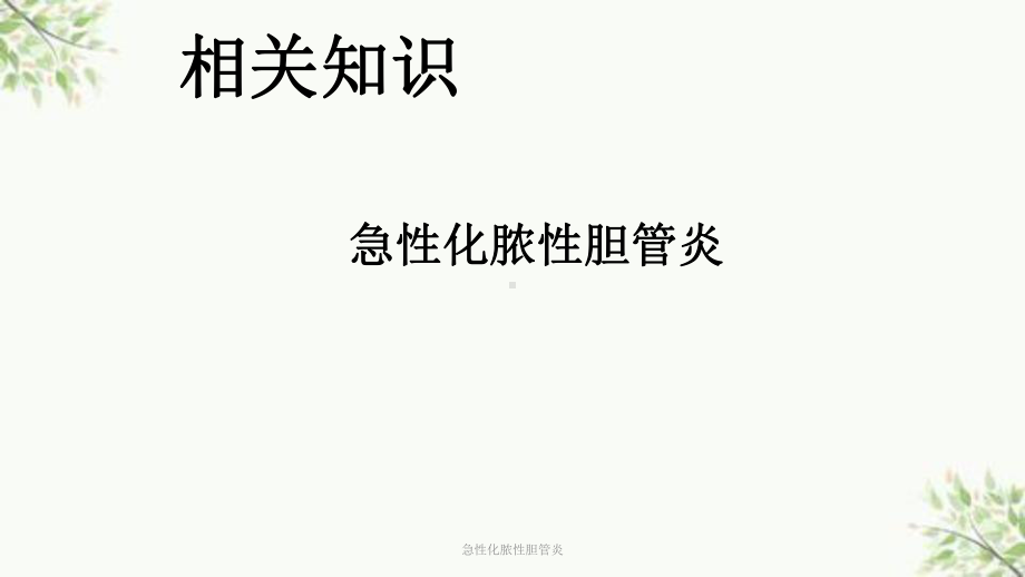 急性化脓性胆管炎课件.ppt_第3页