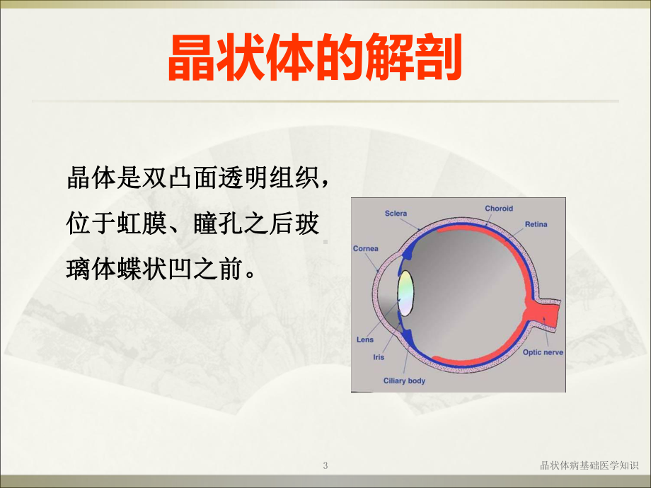 晶状体病基础医学知识培训课件.ppt_第3页