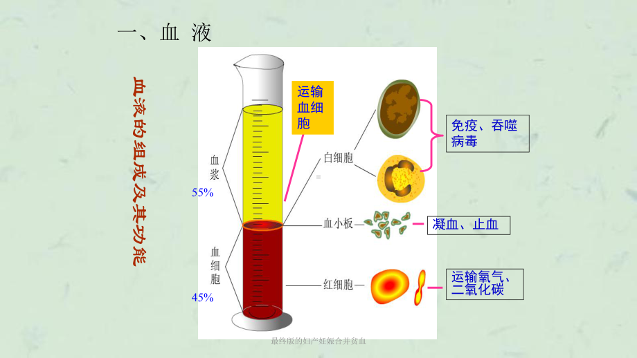 最终版的妇产妊娠合并贫血课件.ppt_第3页