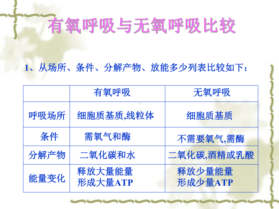 影响呼吸作用的因素课件.pptx_第2页