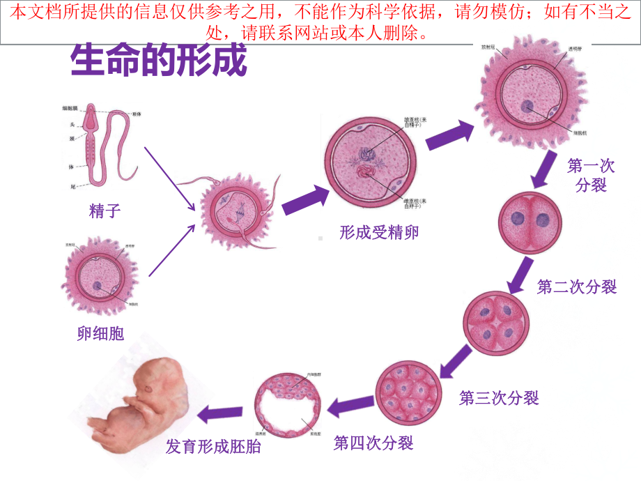 干细胞临床治疗应用现状培训课件.ppt_第3页