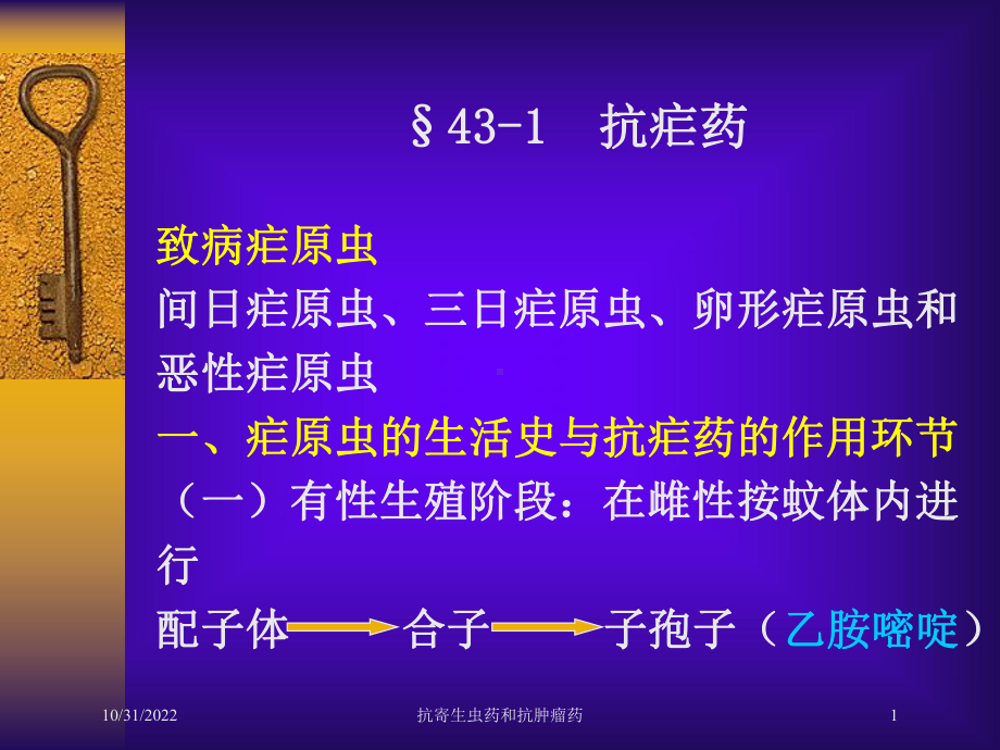 抗寄生虫药和抗肿瘤药培训课件.ppt_第1页