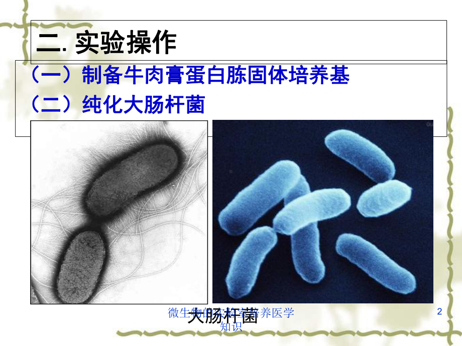 微生物的实验室培养医学知识培训课件.ppt_第2页