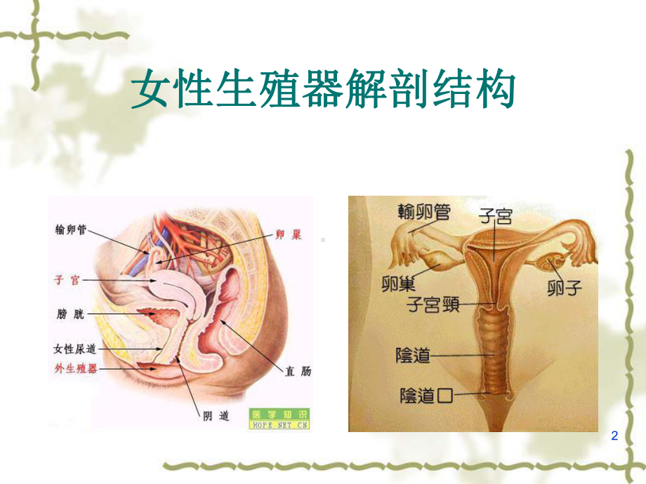 护理查房宫腔镜副本课件.ppt_第2页