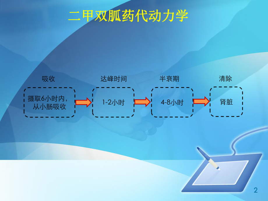 月日糖尿病的口服药物课件.ppt_第2页