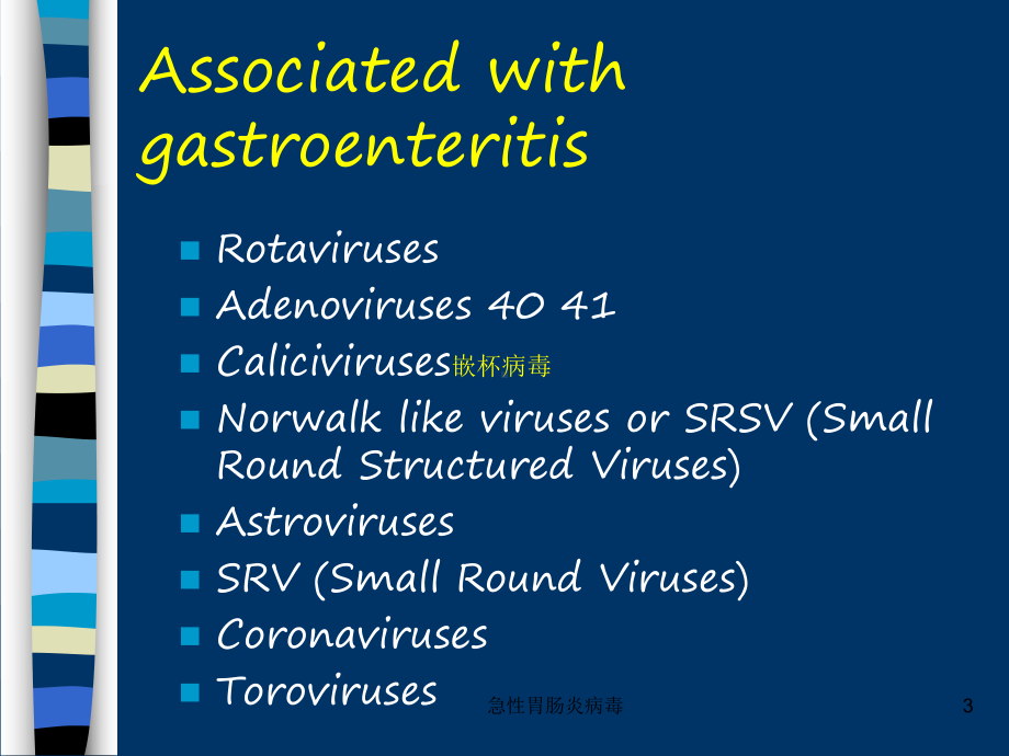 急性胃肠炎病毒课件.ppt_第3页