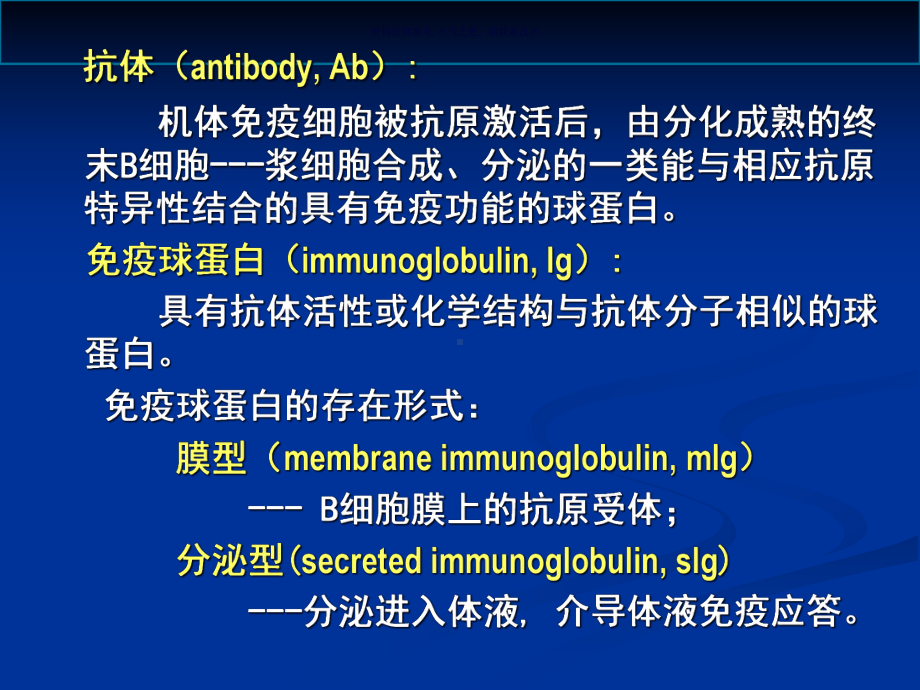 抗体-医学知识课件.ppt_第2页