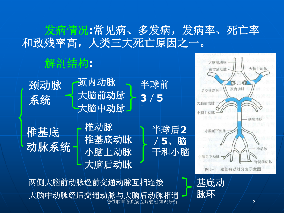 急性脑血管疾病医疗管理知识分析培训课件.ppt_第2页