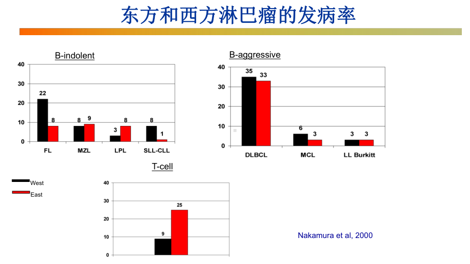 弥漫大B细胞淋巴瘤(DLBCL)过去现在和将来课件.ppt_第2页