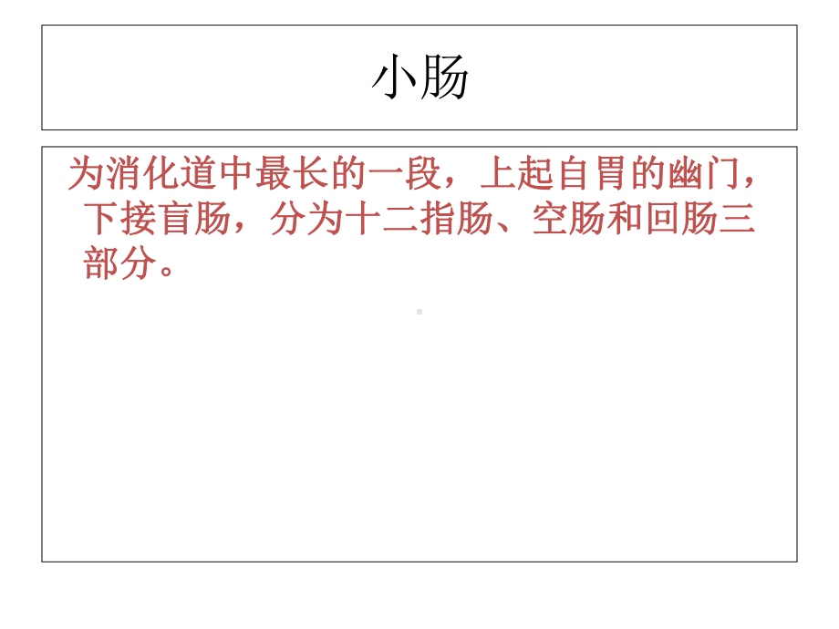 小肠解剖及临床课件.pptx_第3页