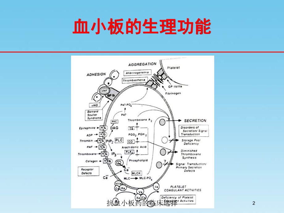 抗血小板药的临床选择培训课件.ppt_第2页