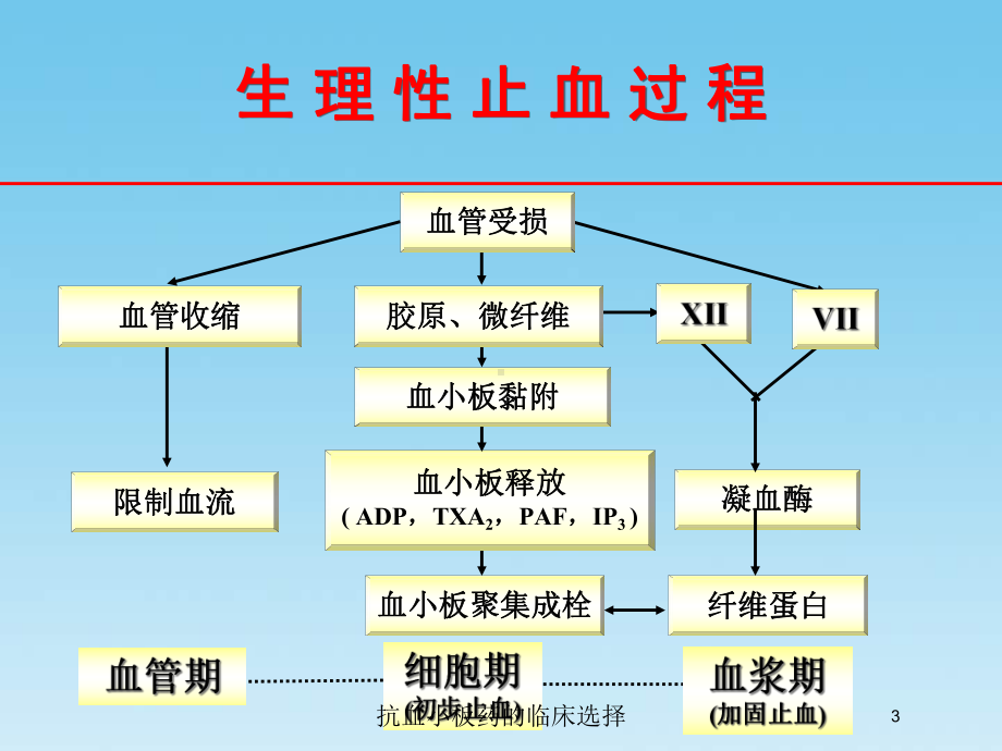 抗血小板药的临床选择培训课件.ppt_第3页