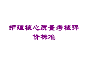 护理核心质量考核评价标准培训课件.ppt